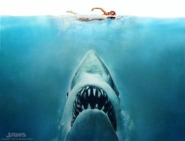 Jaws_01_2