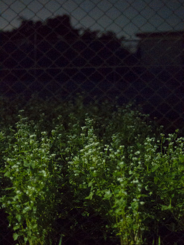 151002_01_2