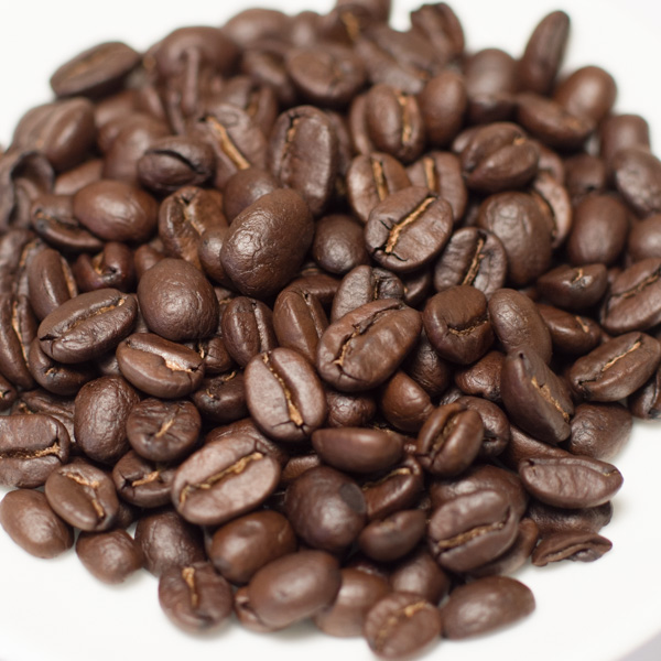 グアテマラ・ゴールデンパレンシア